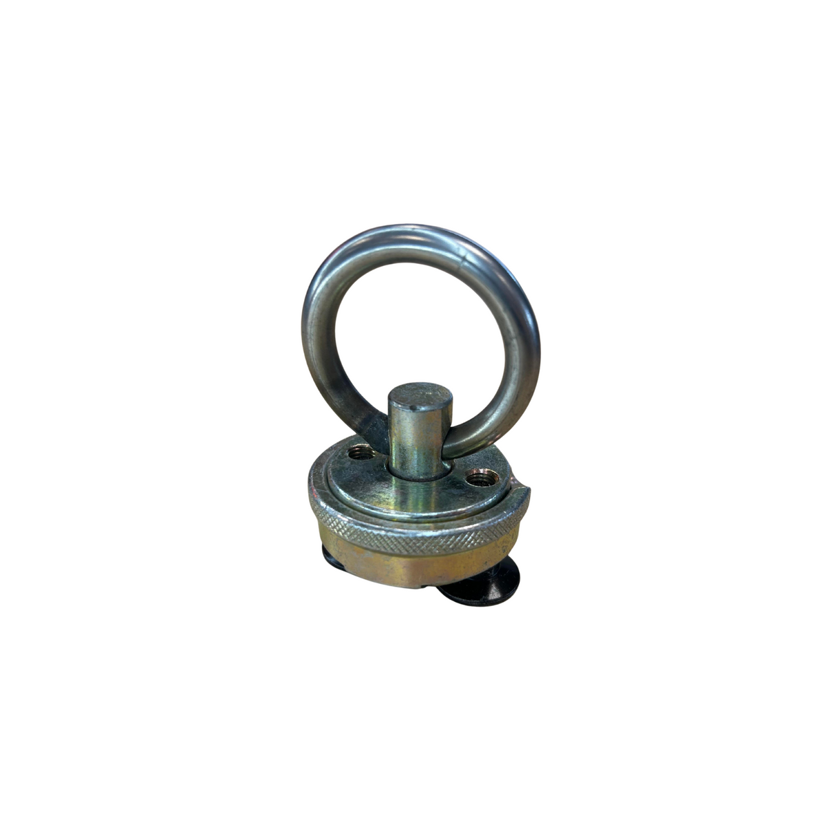 New Haven double stud swivel ring fitting, gold colour